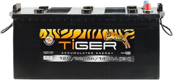 220Ah Truck TIGER BLACK (+/-) (1) 1 450EN