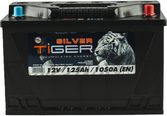125Ah Euro TIGER SILVER (-/+) (0) 1 050EN