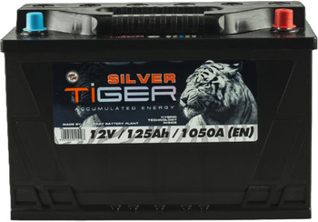 125Ah Euro TIGER SILVER (-/+) (0) 1 050EN